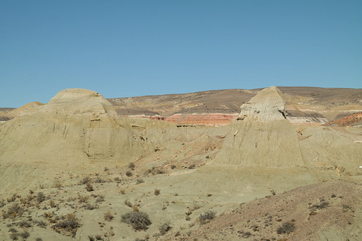 Bosque petrificado Sarmiento