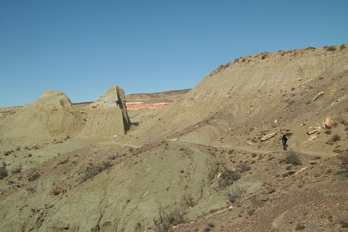 Bosque petrificado Sarmiento