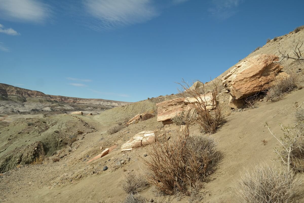 Bosque petrificado Sarmiento