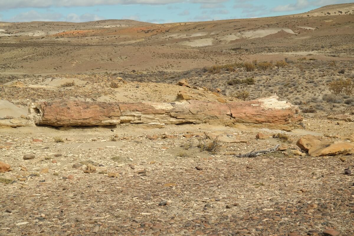 Bosque petrificado Sarmiento