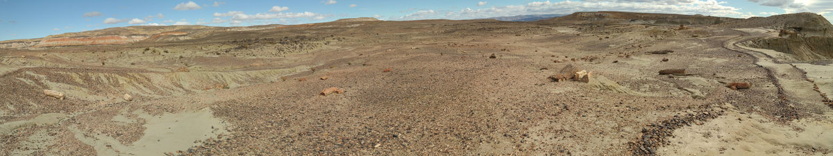 Panorama Bosque petrificado Sarmiento