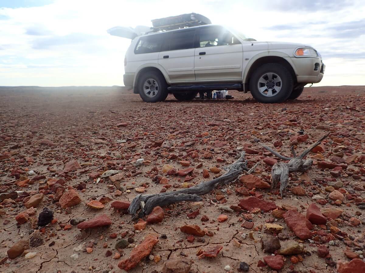 Monument National bosque petrificado