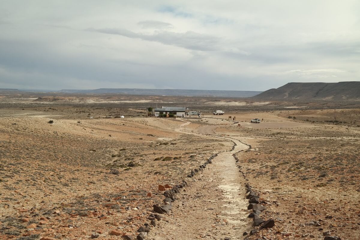 Monument National bosque petrificado