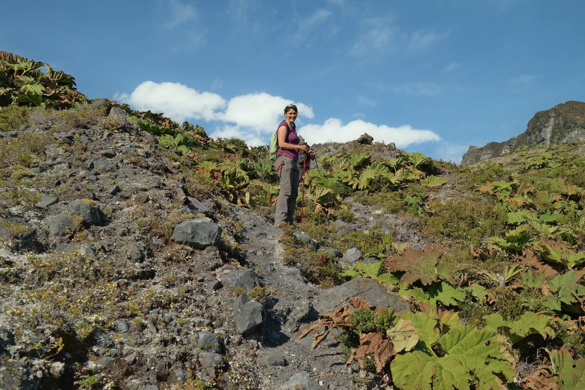 Sendero to Glacier