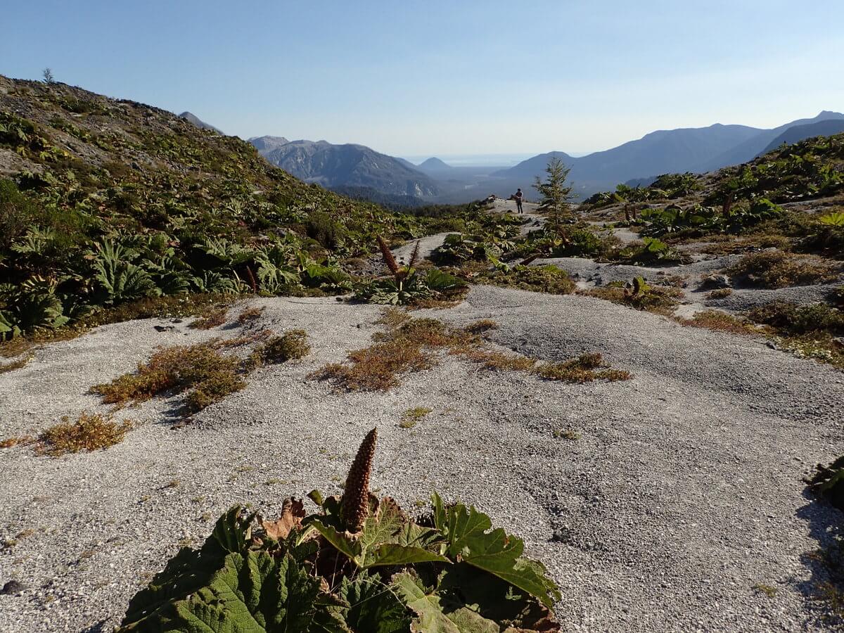 Sendero to Glacier