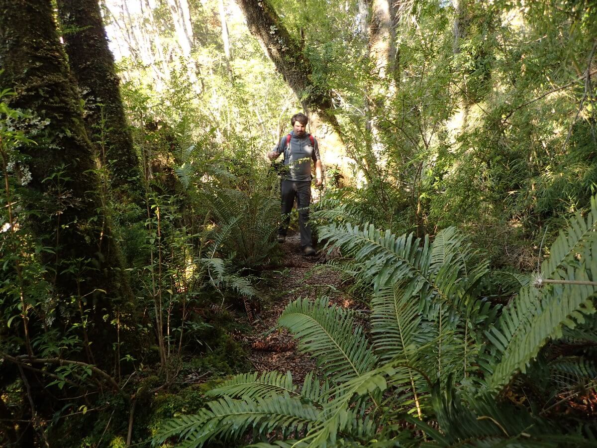 Sendero to Glacier