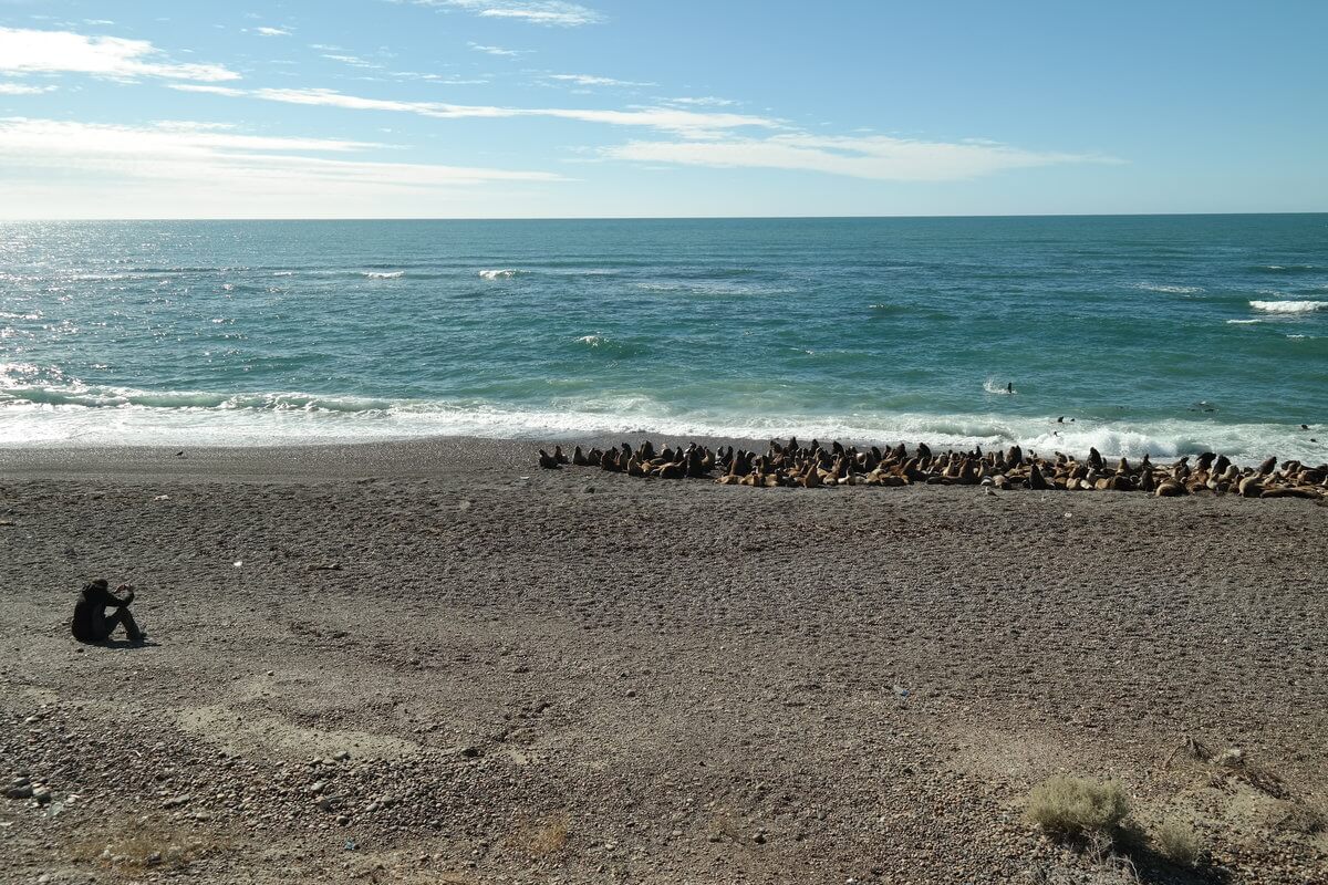 At Caleta Olivia beach