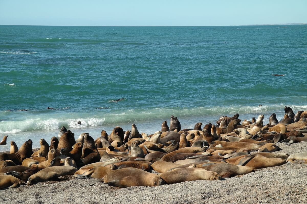 At Caleta Olivia