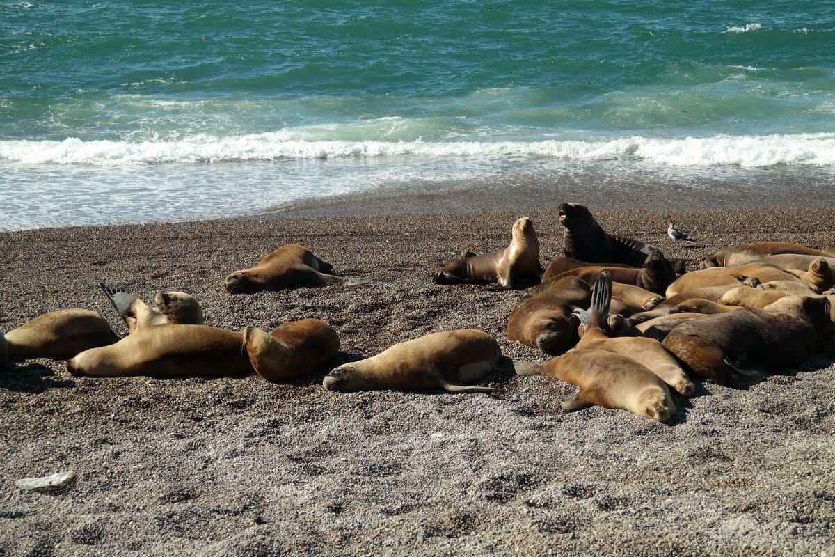 At Caleta Olivia