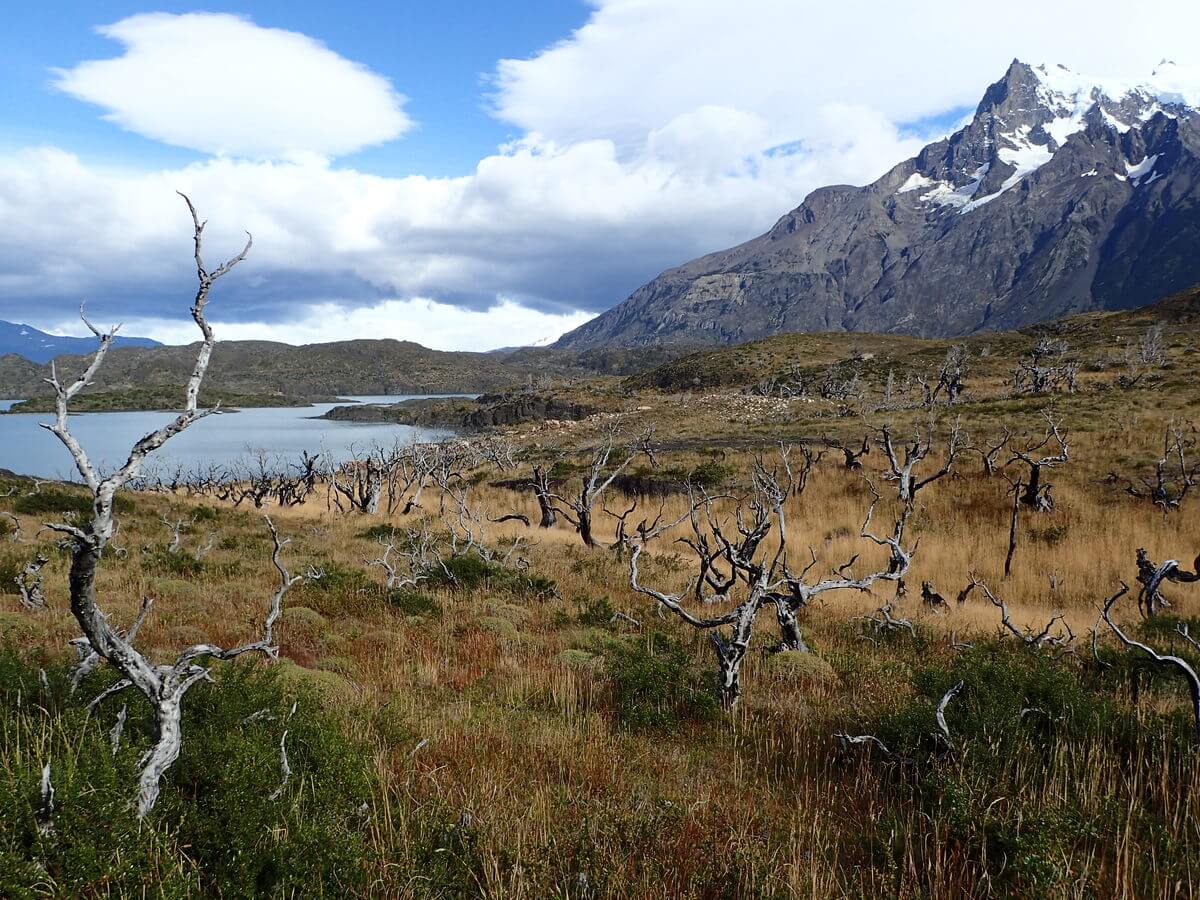 In Torres del Paine