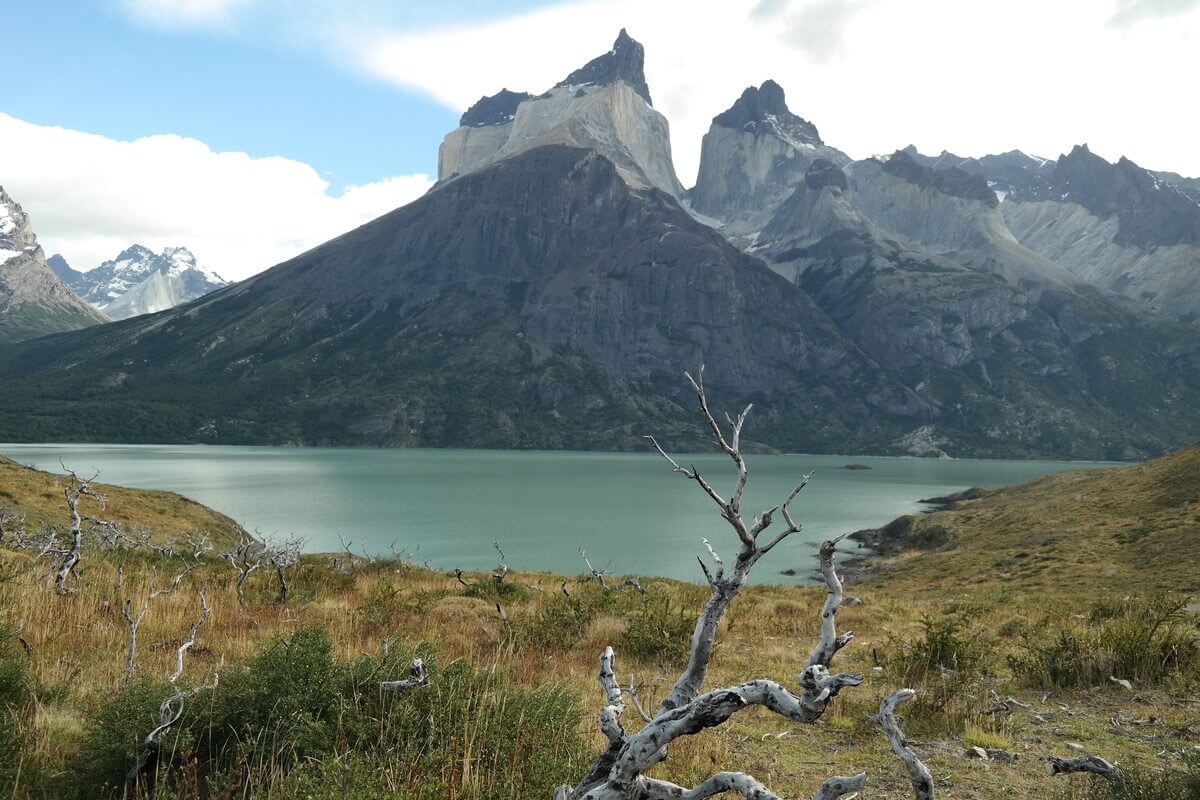 In Torres del Paine