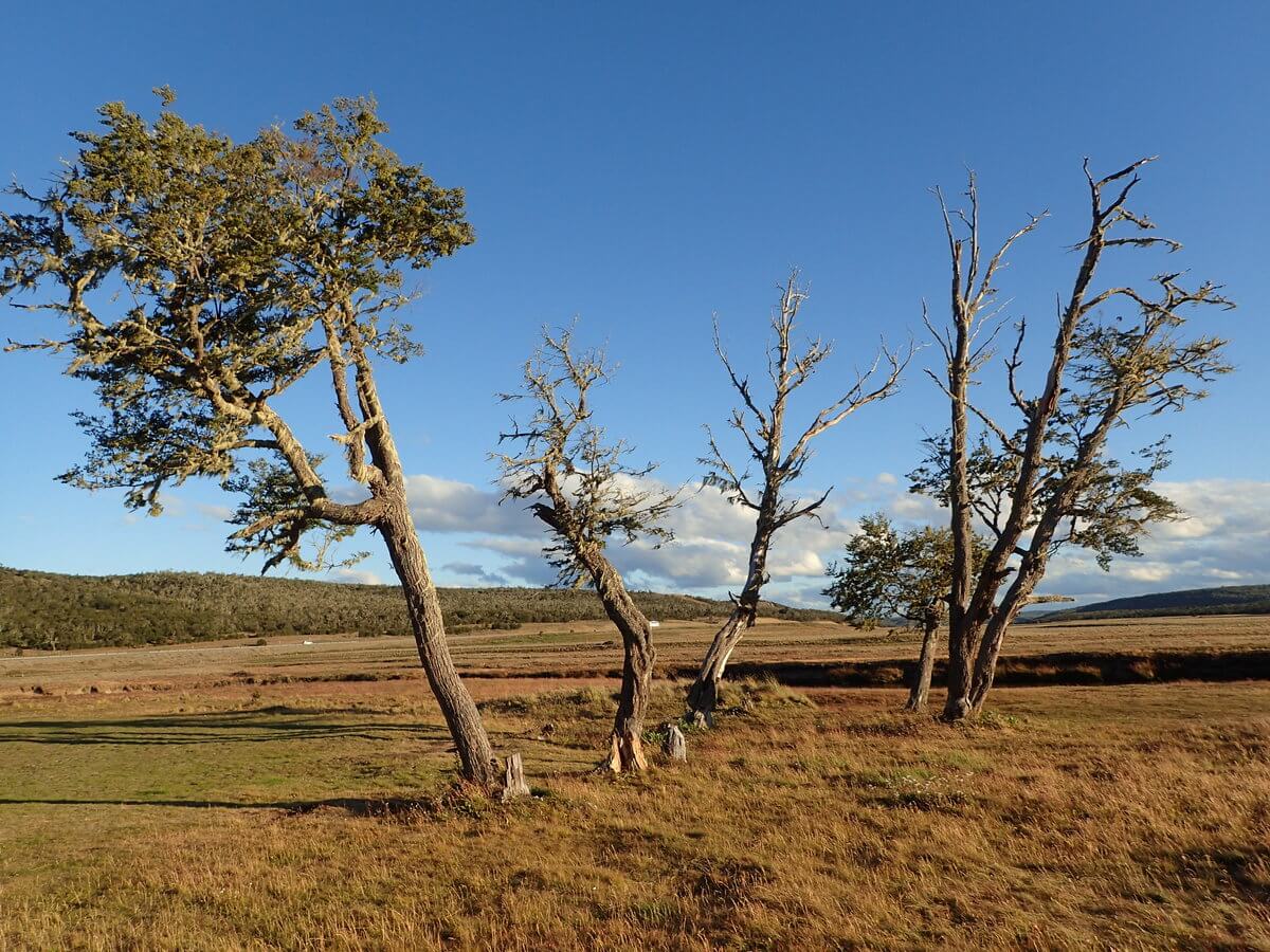 Bushcamp after Rio Grande