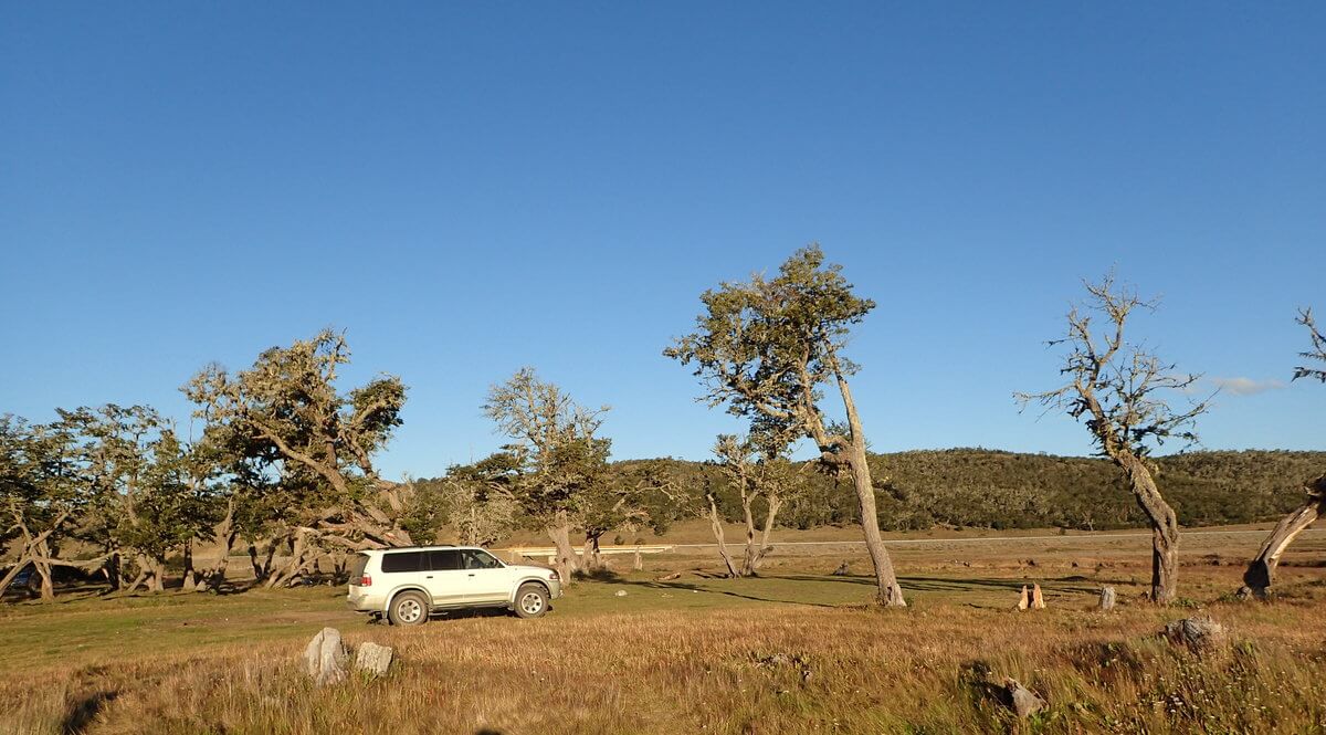 Bushcamp after Rio Grande