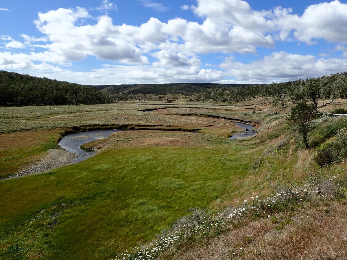 Bushcamp by Rio Grande