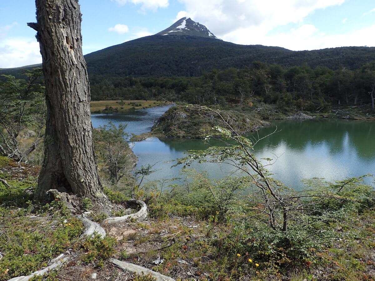 Tierra del Fuego Nationalpark - Biberdamm