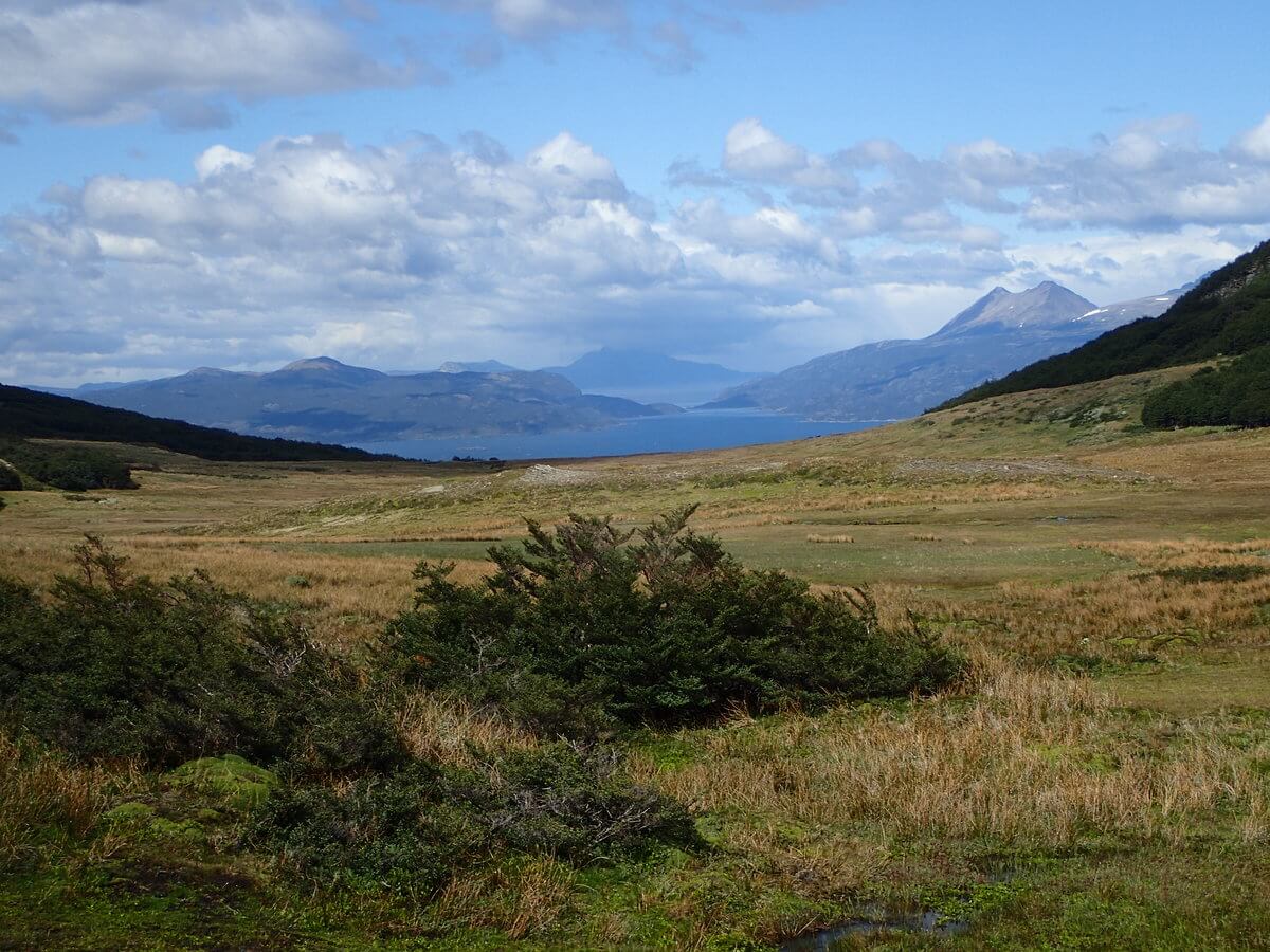 Tierra del Fuego Nationalpark hike Guanaco