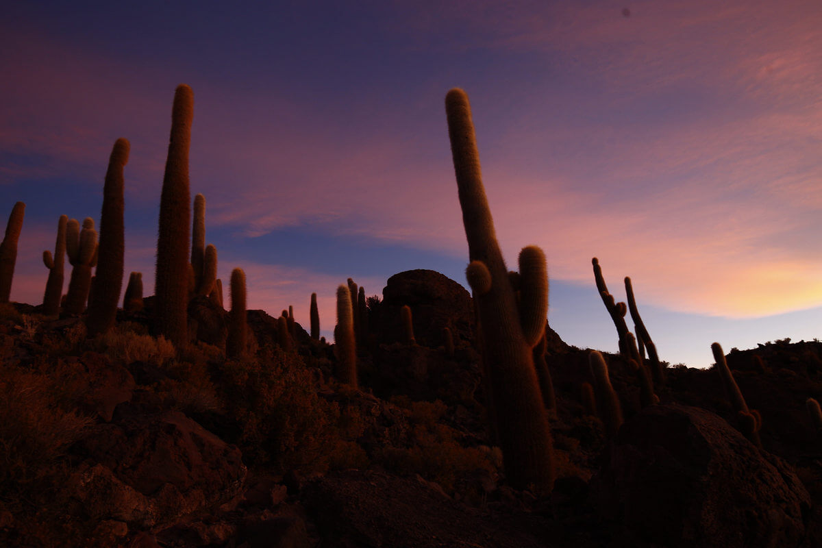 Uyuni