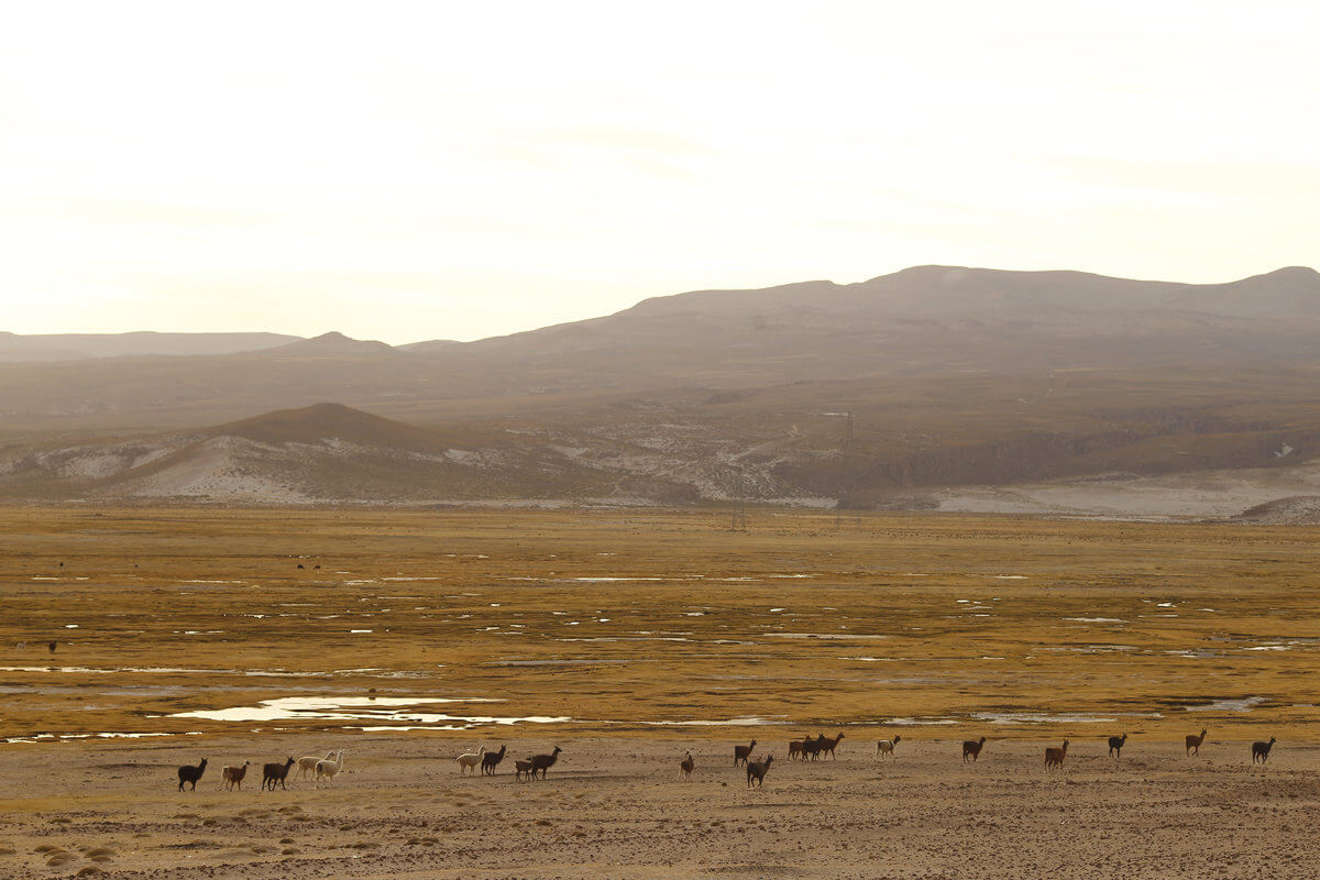 Uyuni