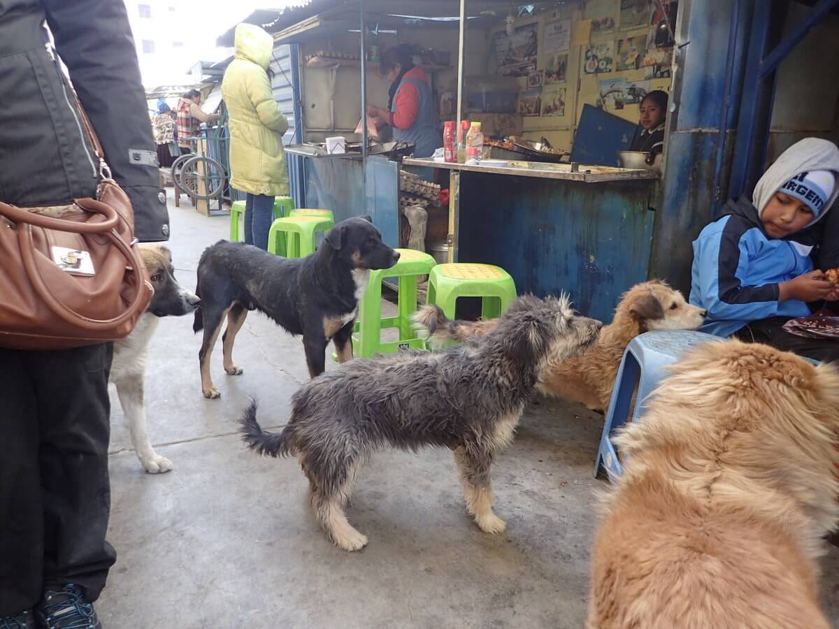 Uyuni - Waiting for food