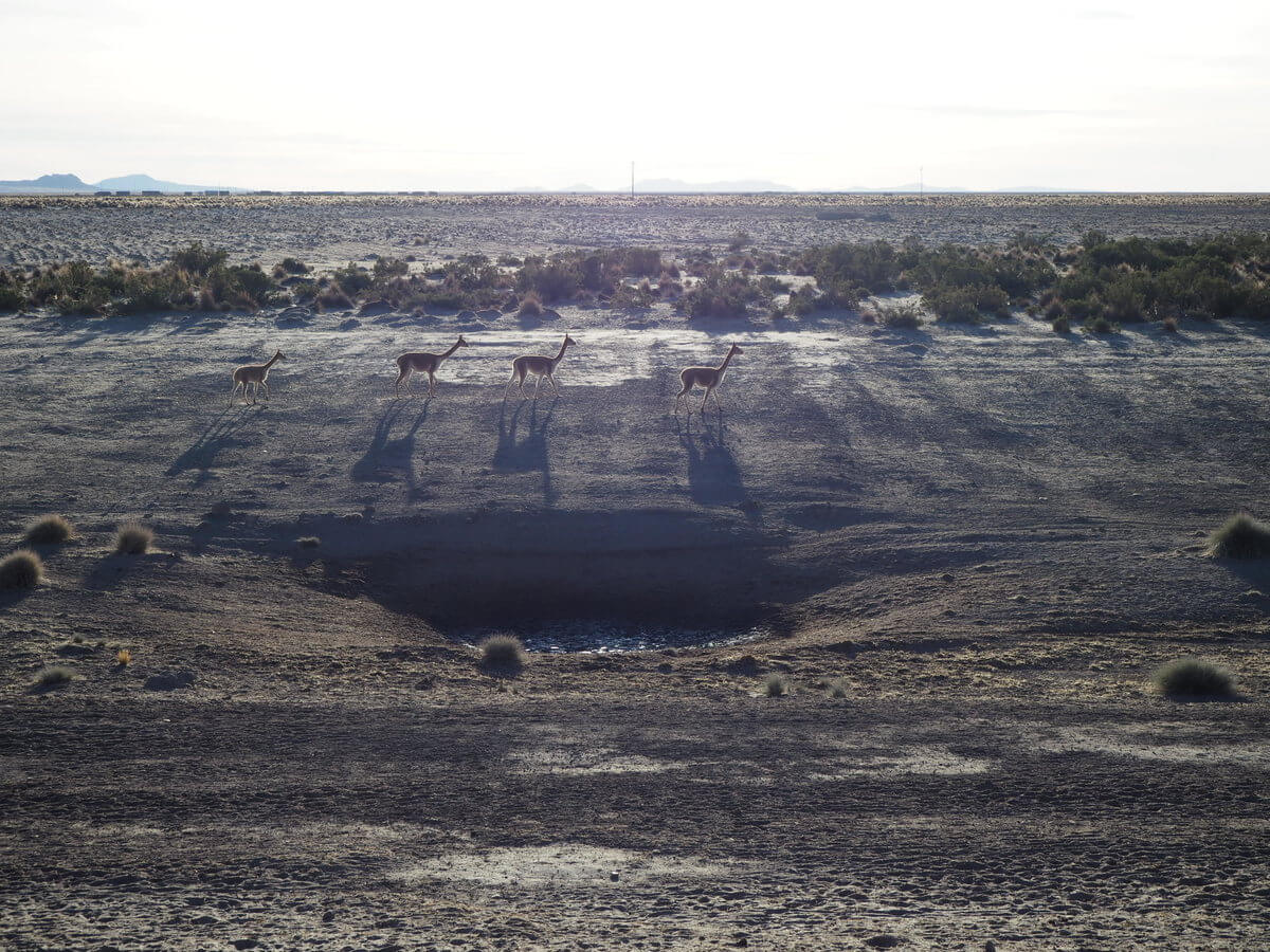 Nach Uyuni