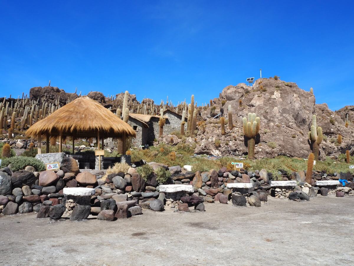 Salar de Uyuni Isla Incahuasi