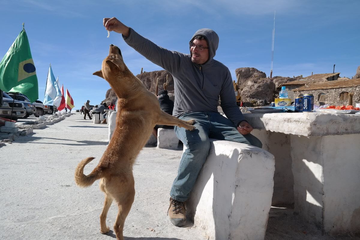 Playfull dog at Isla Incahuasi