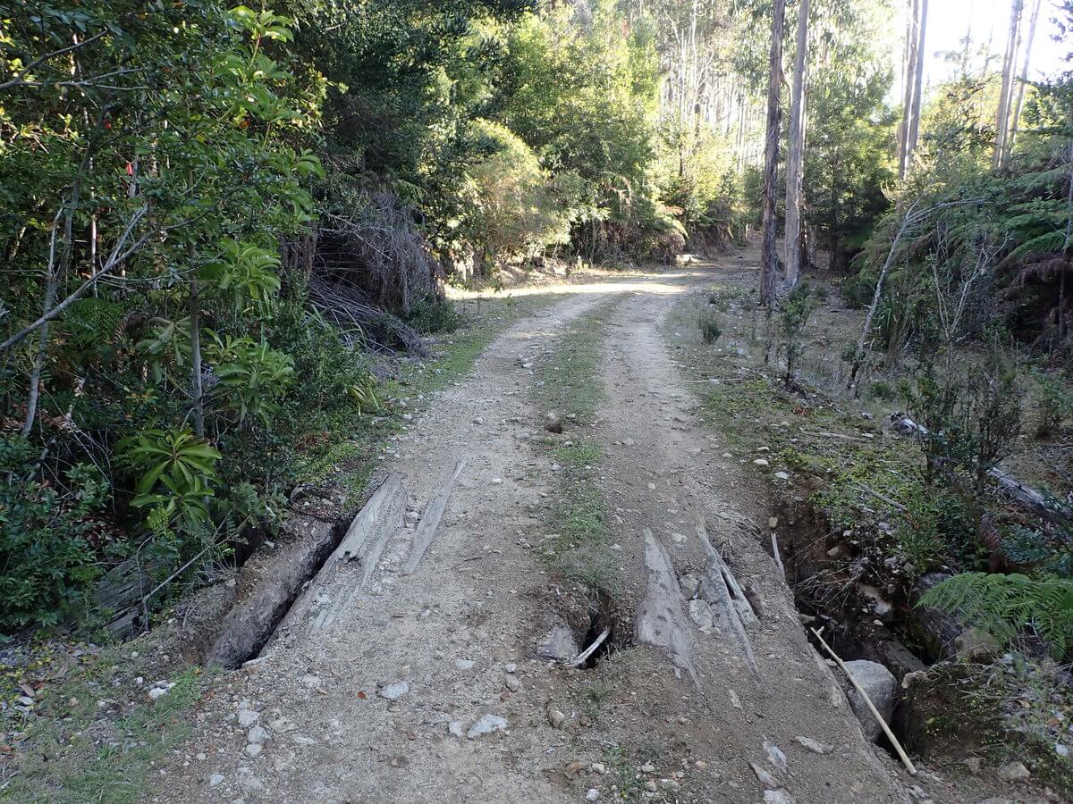 Way to Playa Colun