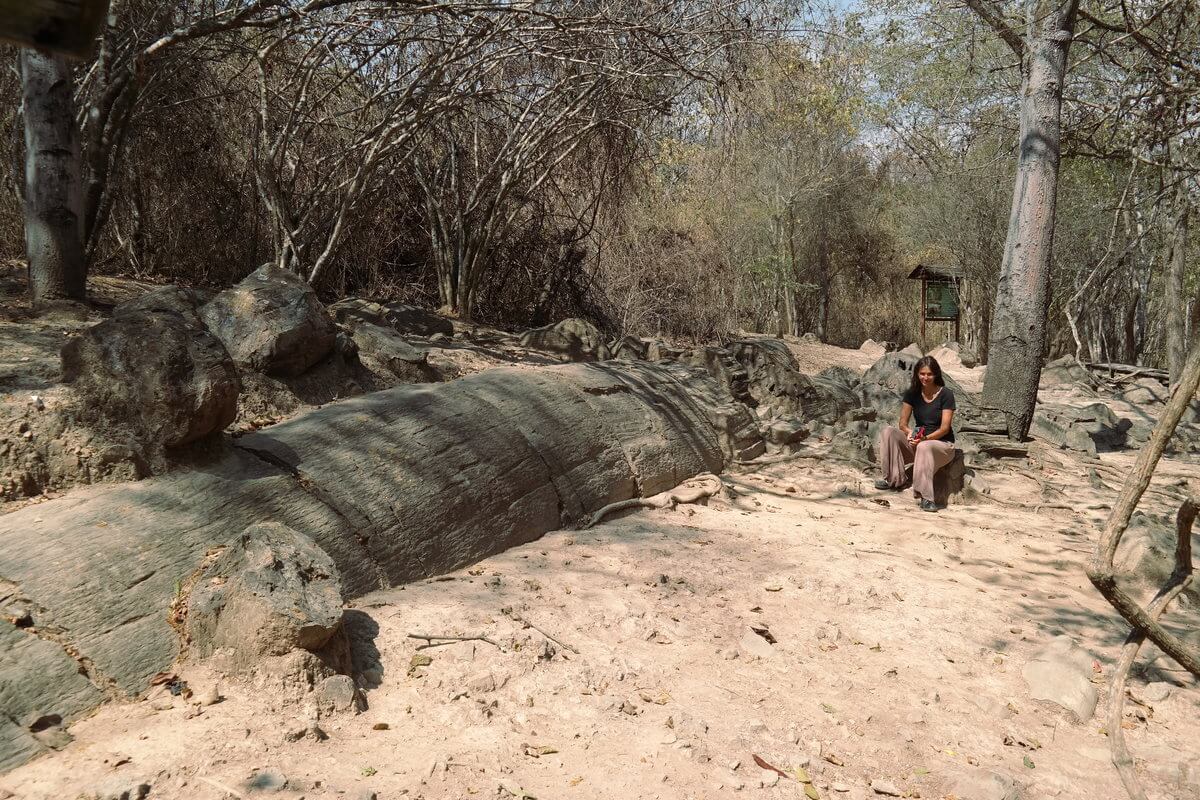 Bosque petrificado Puyango