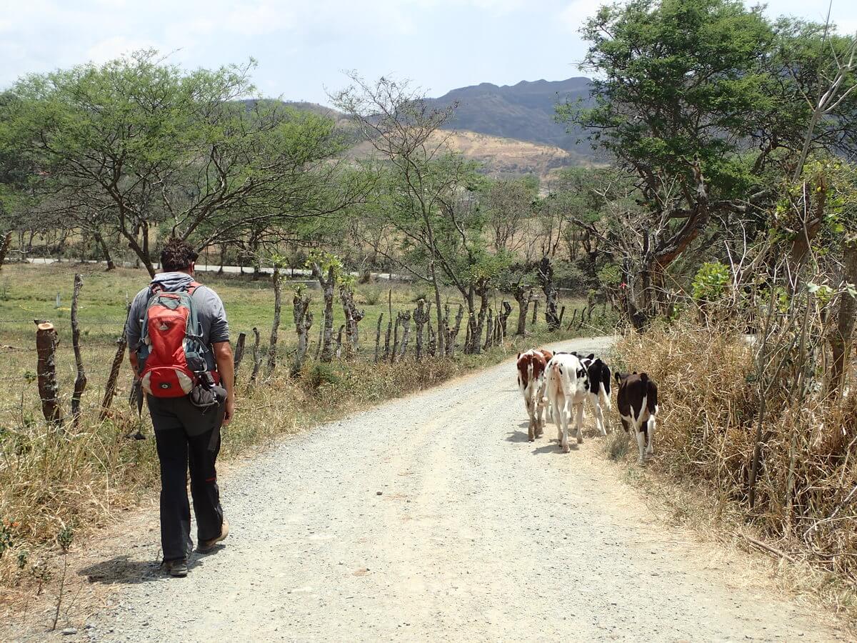 Vilcabamba