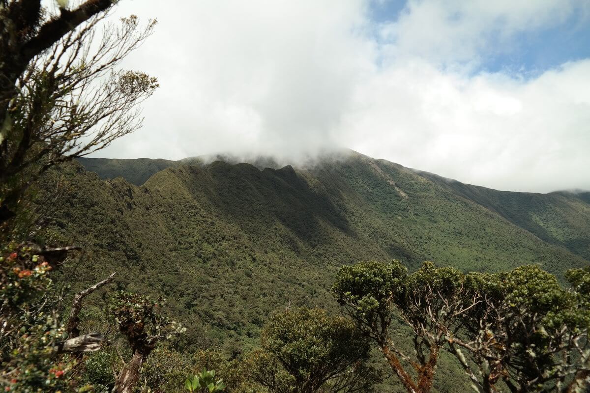 Podocarpus Nationalpark