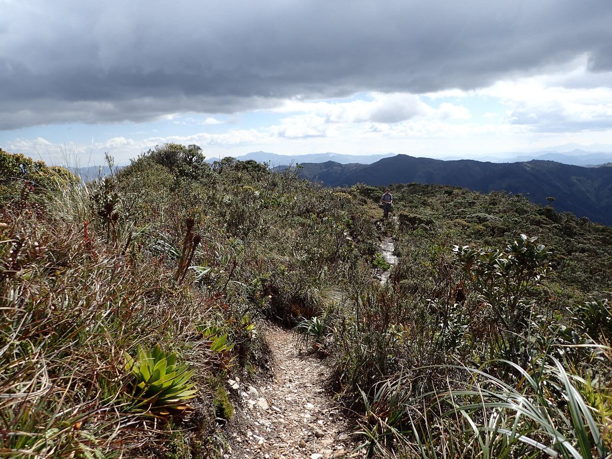 Podocarpus Nationalpark