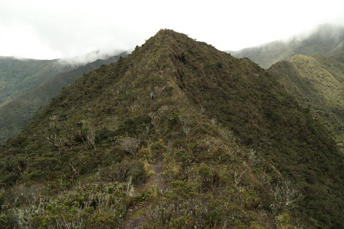 Podocarpus Nationalpark