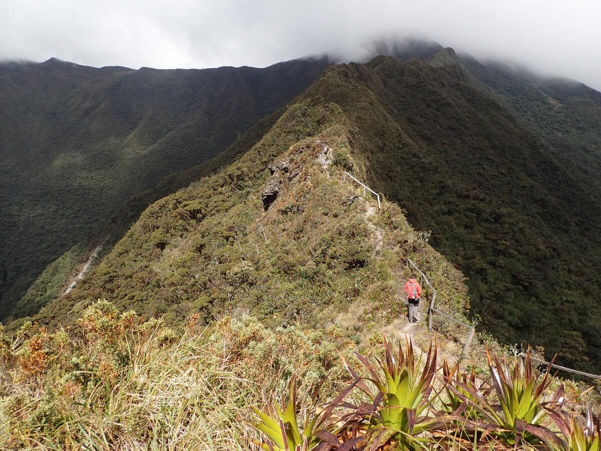 Podocarpus Nationalpark