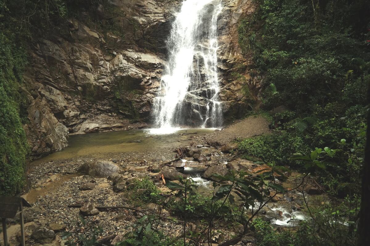 Podocarpus Nationalpark