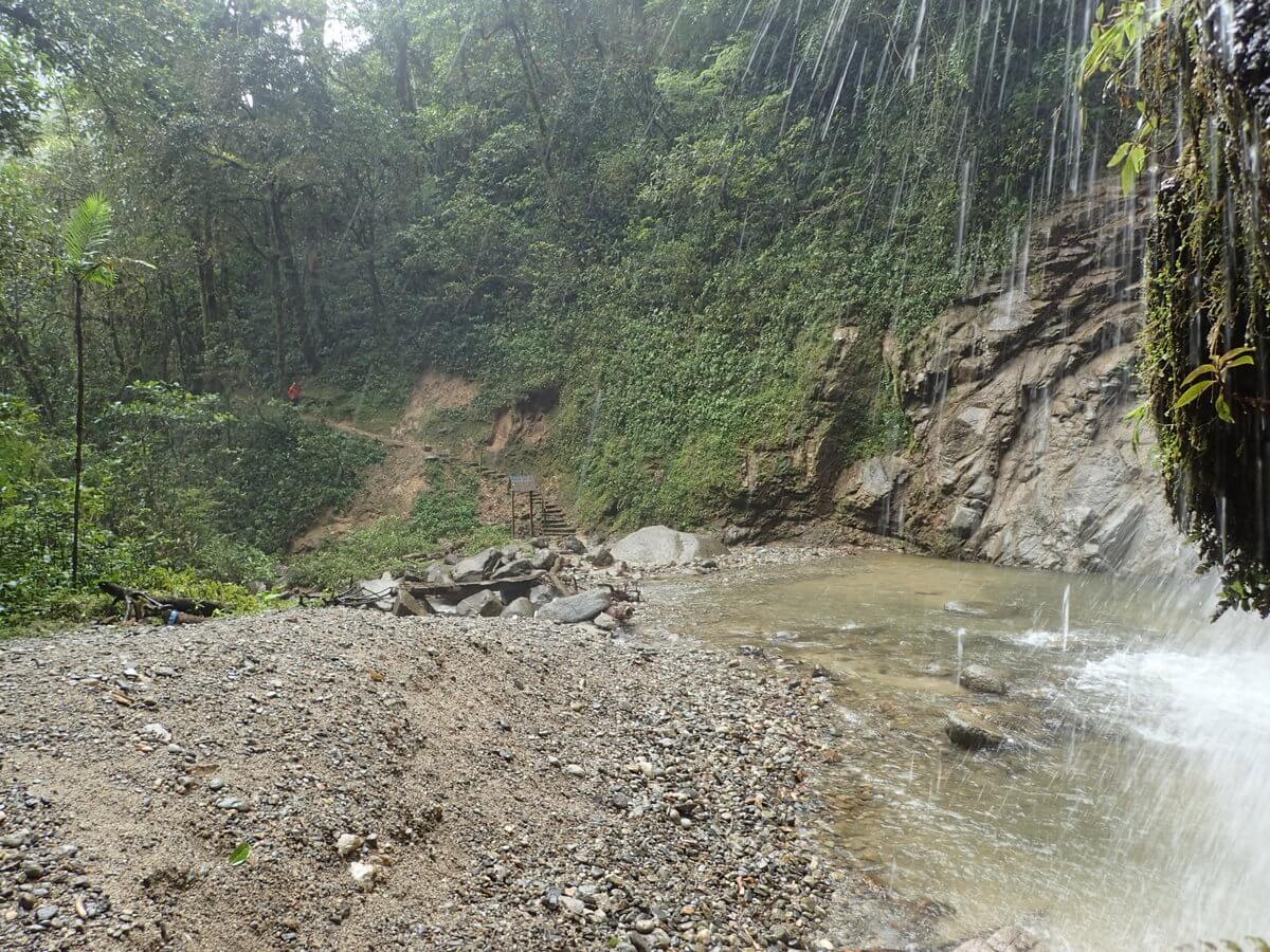 Podocarpus Nationalpark