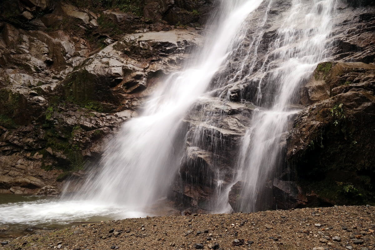 Podocarpus Nationalpark