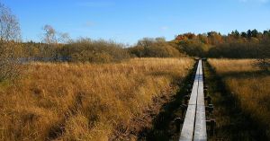 Färnebofjärden Nationalpark