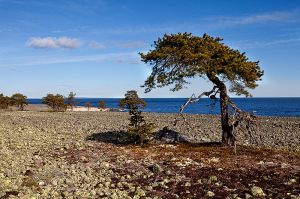 Vattingsmalarna Nature Reserve